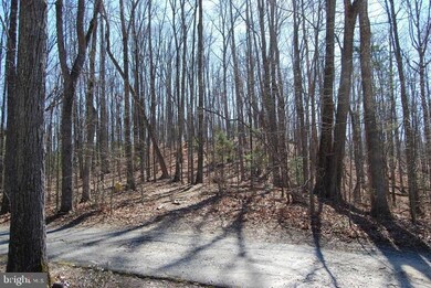 0 Patriot Ln unit VASP2022168, Fredericksburg, VA 22408 - photo 3