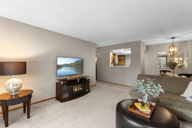 20 Windsor Ln unit 304A, New Brighton, MN 55112 - photo 6