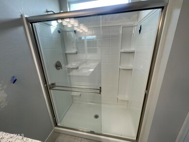 Primary Shower