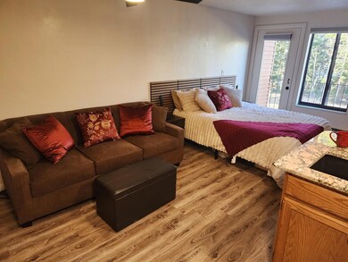 Sofa Bed & Queen Bed w/Purple Mattress