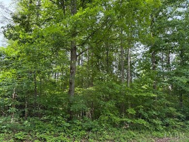 0 E Pamplin Rd, Pamplin, VA 23958 - photo 5