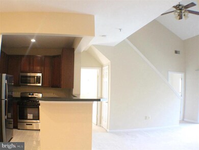 11337 Westbrook Mill Ln unit 302, Fairfax, VA 22030 - photo 7