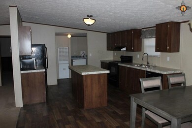 4208 Willow St, Carlsbad, NM 88220 - photo 5