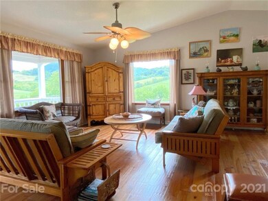 71 Rabbit Ham Rd, Leicester, NC 28748 - photo 4