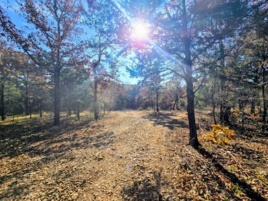 60 SE 136th Rd, Bengal, OK 74563 - photo 3