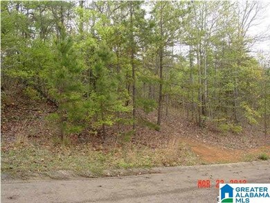 000 Timothy Dr, Oxford, AL 36203 - photo 5