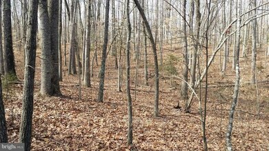 25191 Oxford Rd, Ruther Glen, VA 22546 - photo 6