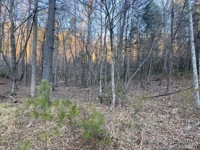 0000 Mallard Rd unit 357, Lake Lure, NC 28746 - photo 6