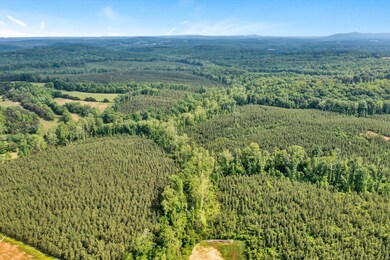 Tract B W Gretna Rd, Penhook, VA 24137 - photo 7