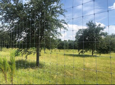 00003 Stuebner Airline Rd, Tomball, TX 77375 - photo 5