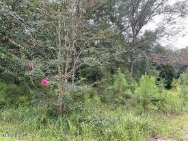 3.5 Acres Ben Rogers Rd, Lucedale, MS 39452 - photo 2