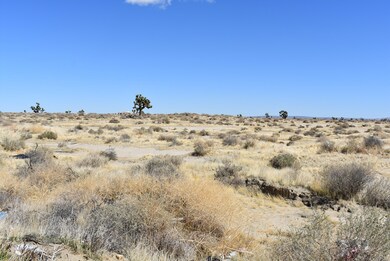 0 20th St E and Vic Ave G10, Lancaster, CA 93535 - photo 4