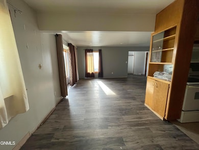 205 S Badger St, Wishek, ND 58495 - photo 4