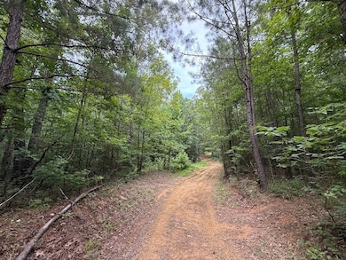 Co Rd 700 unit LotWP001, Cedar Bluff, AL 35959 - photo 6