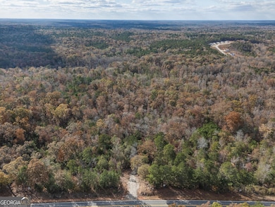 0 Highway 212 unit 10632237, Covington, GA 30014 - photo 4