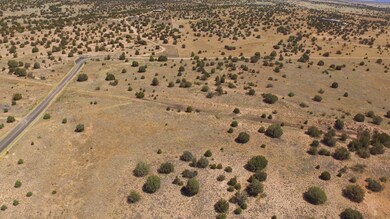 DJI_0005