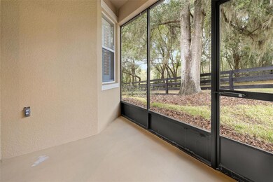 30512 Lipizzan Terrace, Mount Dora, FL 32757 - photo 4