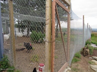 Chicken yard