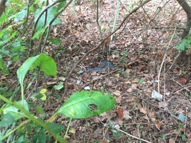 5234 Winterleaf Dr, Richmond, VA 23234 - photo 4