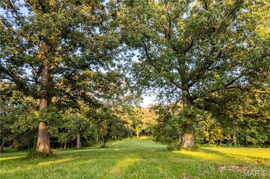 0 Highway D - Tract 9 (24 7+ - Acres) unit MIS25078045, Eolia, MO 63344 - photo 2