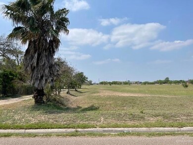 515 S 5th St, Donna, TX 78537 - photo 2