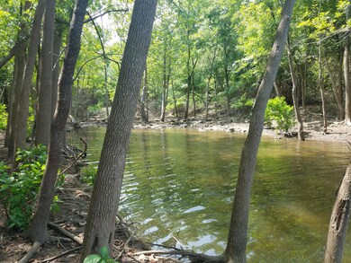 end of cove on adjacent south lot, looki