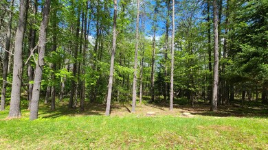 157 Sweden Rd, Bridgton, ME 04009 - photo 5