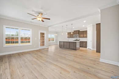 3110 Henry Rd SE, Decatur, AL 35603 - photo 2