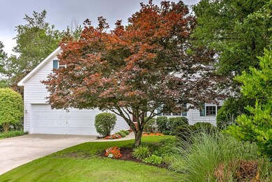 Beautiful Japanese Maple and garden.
