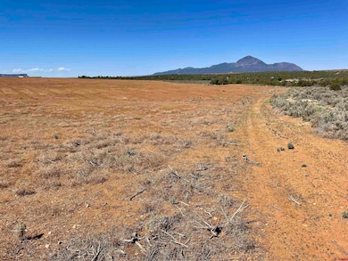 Tract 5 Road K 3, Cortez, CO 81321 - photo 2