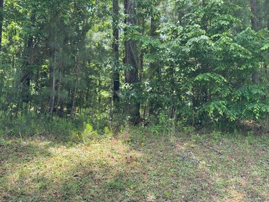 0 Mount Vintage Plantation Dr unit 541851, Edgefield, SC 29860 - photo 6