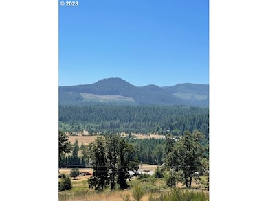 0 Harolds Rd unit 23451364, Dexter, OR 97431 - photo 3
