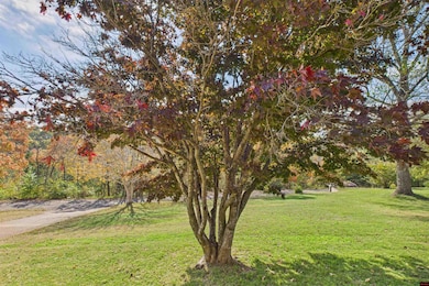 129 Helton Rd, Lakeview, AR 72642 - photo 5