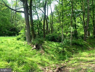 0 Jr Rannels Rd Finding Way unit WVHS2001950, Romney, WV 26757 - photo 7