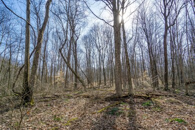 33996 W Buckingham Rd, Logan, OH 43138 - photo 4