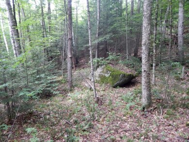 18-8 Currier Hill, Wentworth, NH 03282 - photo 3