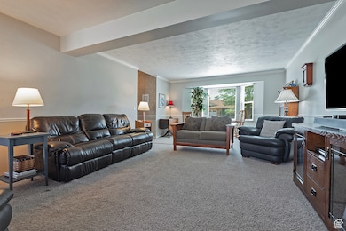 Carpeted living area featuring ornamental molding and a textured ceiling