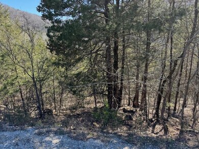 15 Mohawk Ln unit 12, Holiday Island, AR 72631 - photo 5