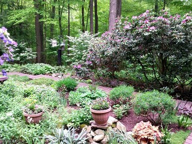 View from front door