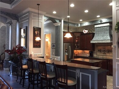 1202 W Beagle Run Loop, Hernando, FL 34442 - photo 5