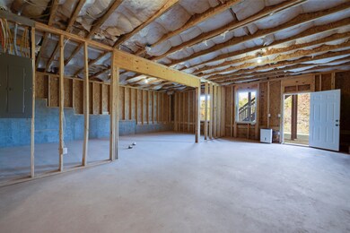 Unfinished Basement