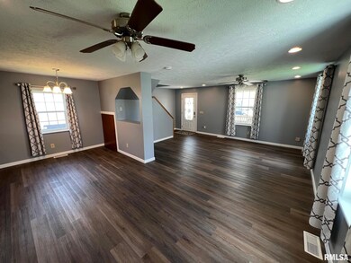 619 N Hamilton St, Lincoln, IL 62656 - photo 5