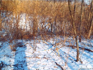 0 Gridley Rd, Virginia, IL 62691 - photo 5