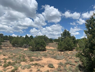 7 Nature Pointe Dr, Tijeras, NM 87059 - photo 4