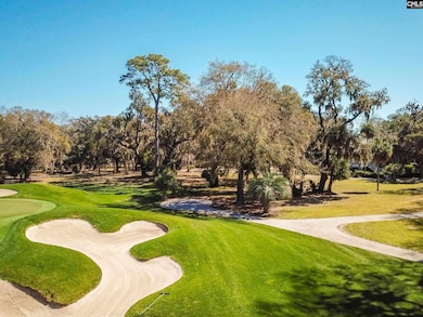 18 Tabby Cir, Daufuskie Island, SC 29915 - photo 7