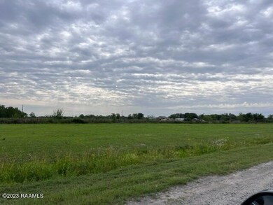 IMG_8378