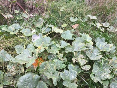 376 E Lake Walker Dr SE, Enumclaw, WA 98022 - photo 3