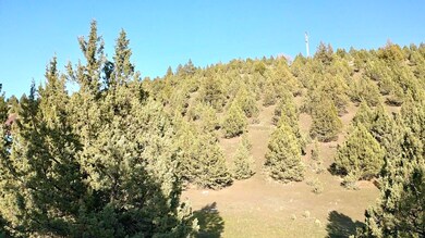 0 Patterson Dr, Canyon City, OR 97820 - photo 5