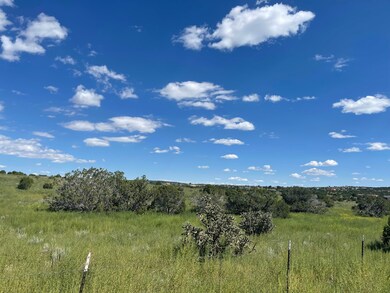 0 Frost & Tumbleweed W2se4nw4 unit 1081315, Sandia Park, NM 87047 - photo 3