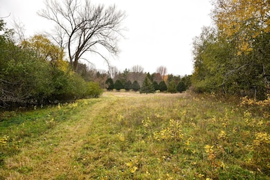 Ready for your vision